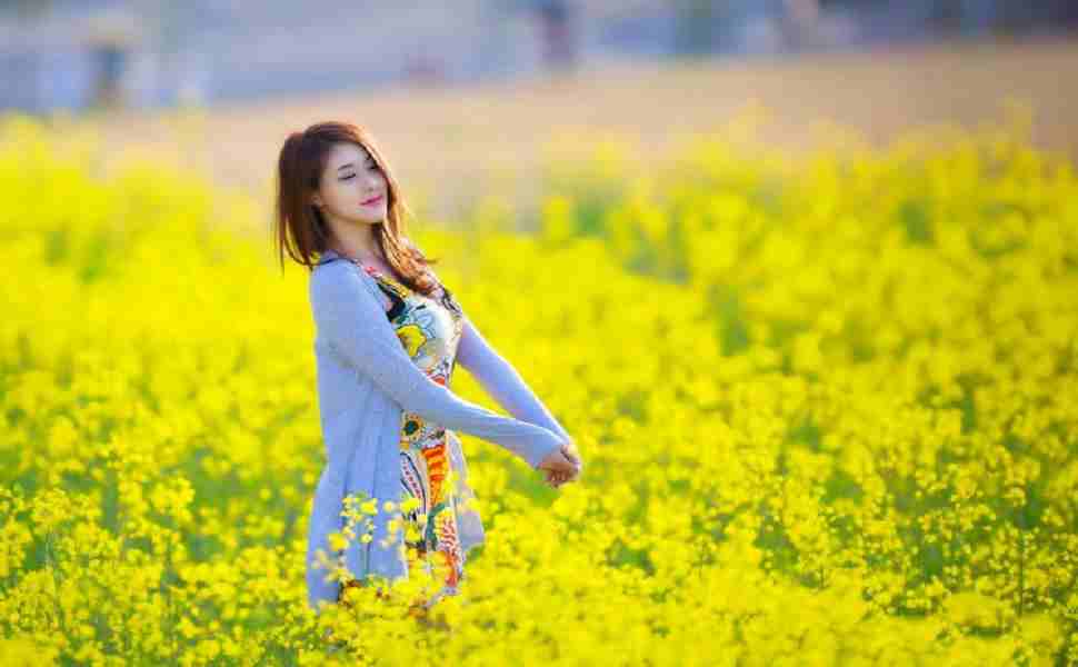 万能小偷站群版 破解